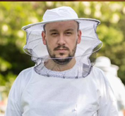 Programer Vrsac Bera Developer